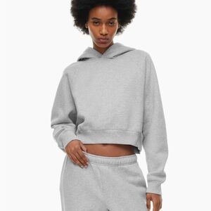 Aritzia Cozyfleece Cropped Hoodie, grey, size S